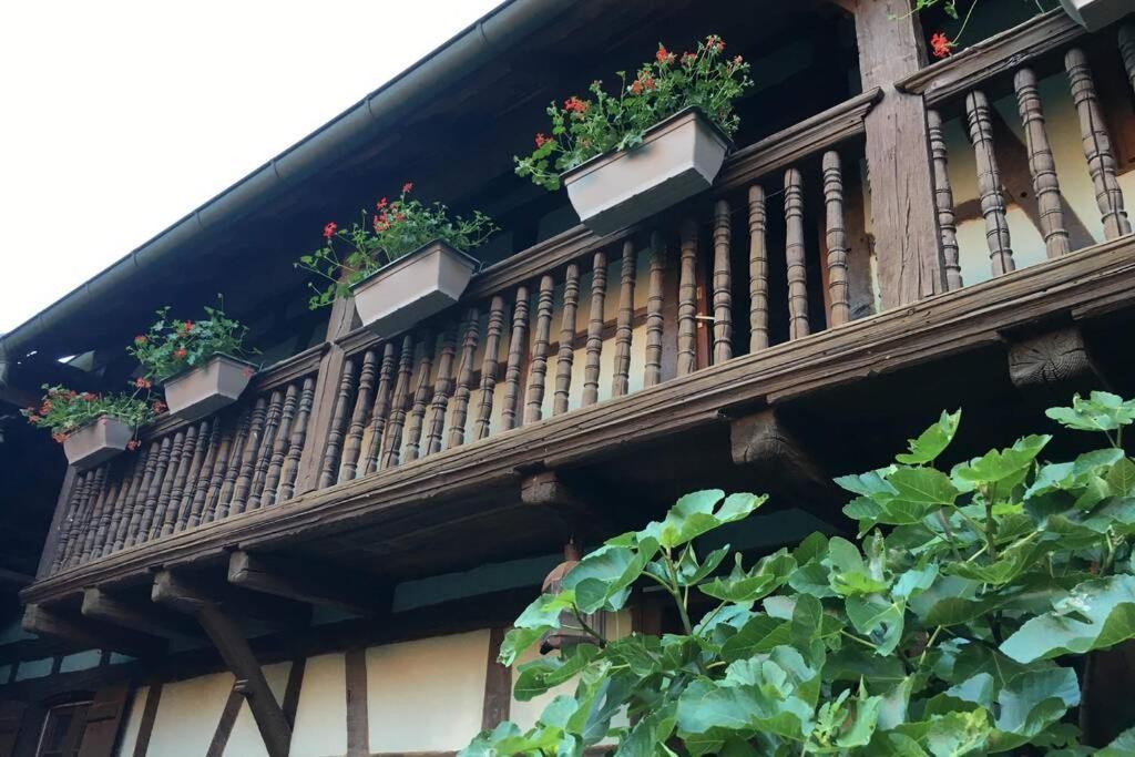 Gite Alsacien Eckwersheim Ngoại thất bức ảnh